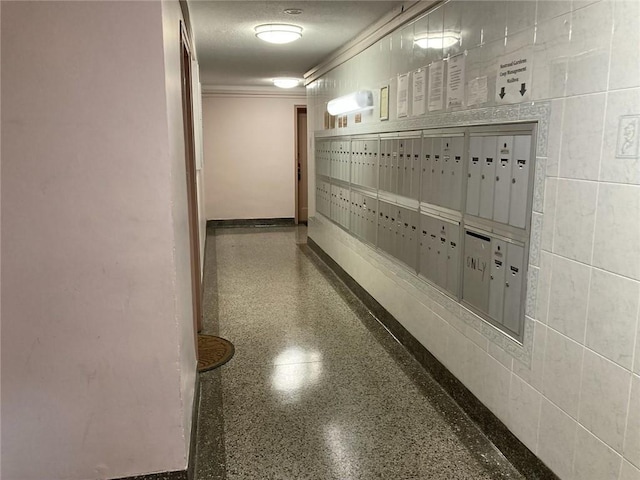 hall featuring a mail area, ornamental molding, and tile walls