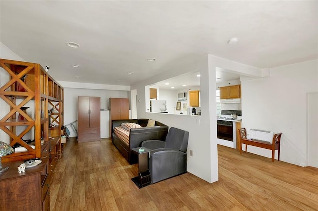 living area with light wood finished floors