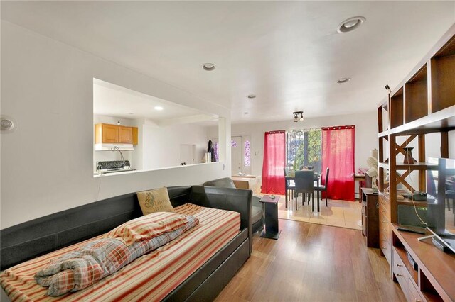 living room featuring light hardwood / wood-style flooring