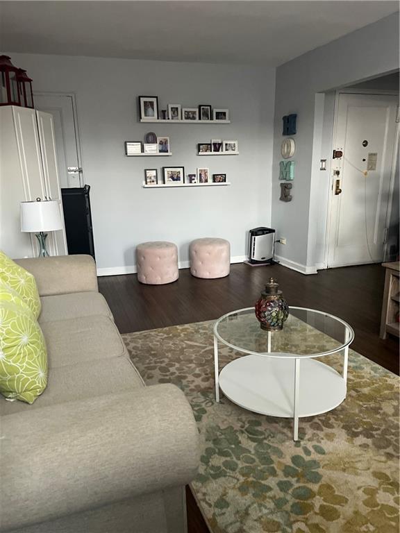 living room featuring dark wood-type flooring