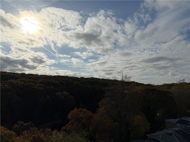 mountain view featuring a wooded view