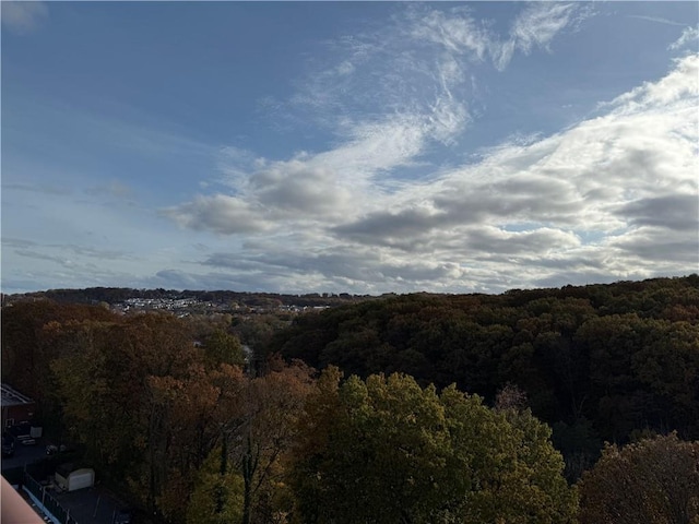 property view of mountains with a wooded view