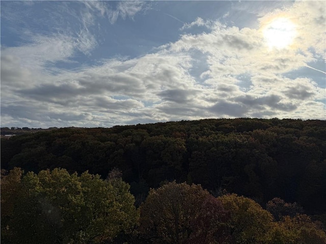 property view of mountains featuring a view of trees