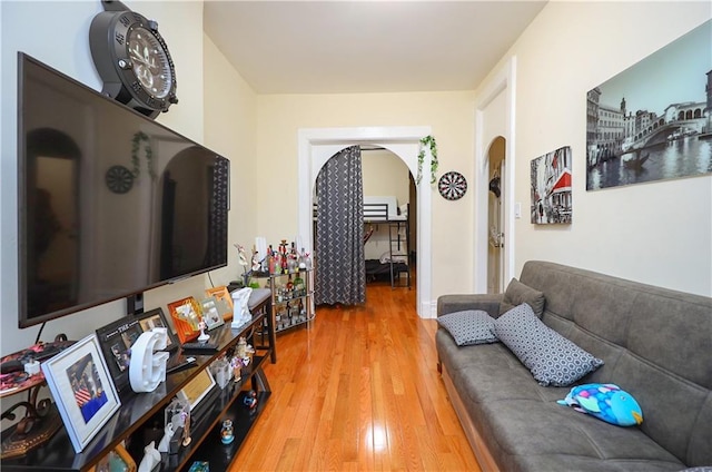 living room with hardwood / wood-style flooring