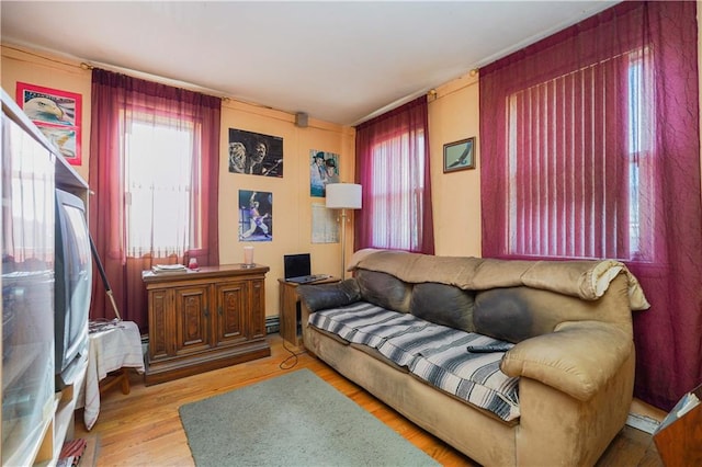 living room featuring light hardwood / wood-style floors