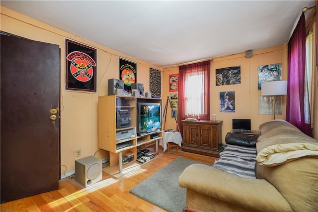 living room featuring hardwood / wood-style floors