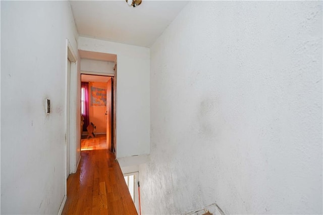 hallway featuring dark wood-type flooring