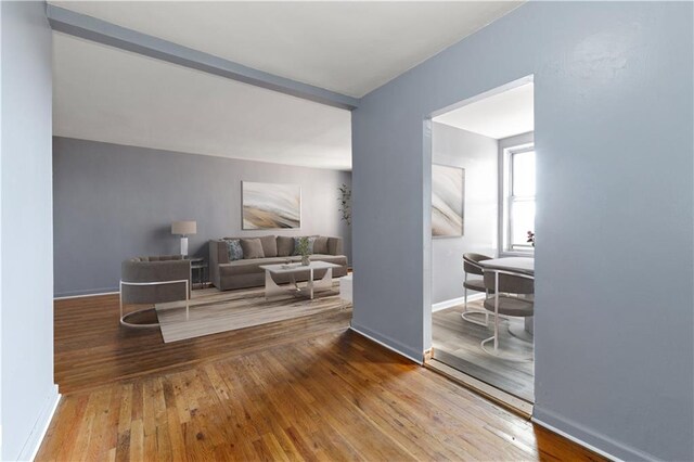 living room featuring hardwood / wood-style floors