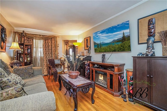 living room featuring crown molding and light wood-type flooring