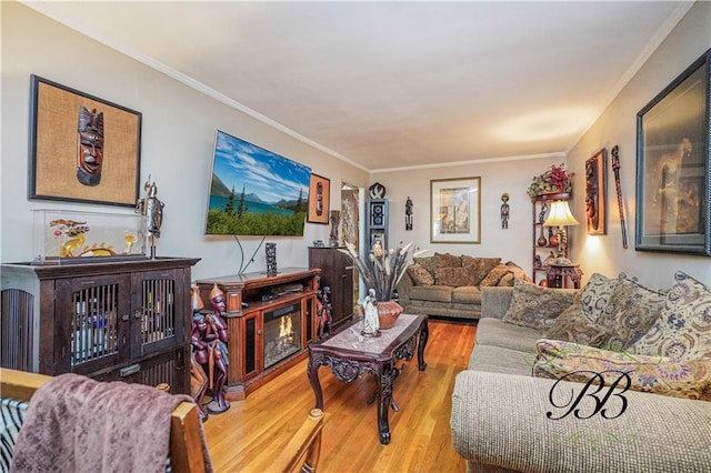 living room featuring crown molding and wood-type flooring