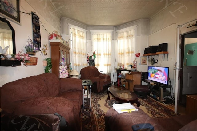 living room featuring ornamental molding