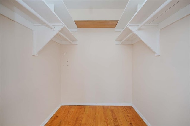 walk in closet featuring wood finished floors