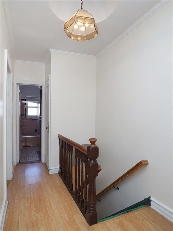 interior space with light wood-type flooring and ornamental molding