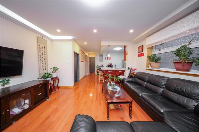 living room with light hardwood / wood-style floors