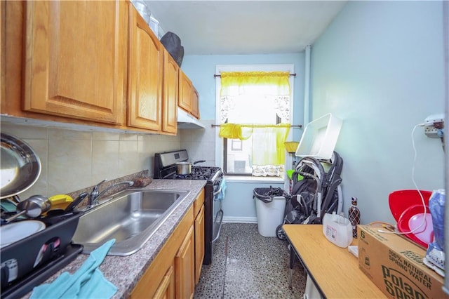 kitchen with stainless steel range with gas cooktop, dark speckled floor, decorative backsplash, a sink, and baseboards