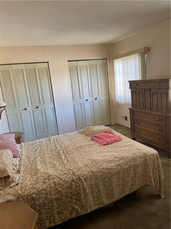 bedroom with two closets and dark carpet