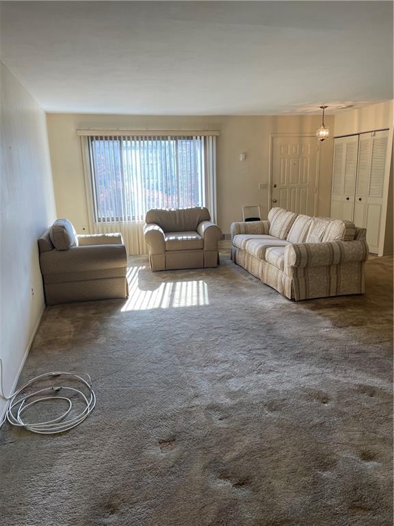 unfurnished living room featuring carpet