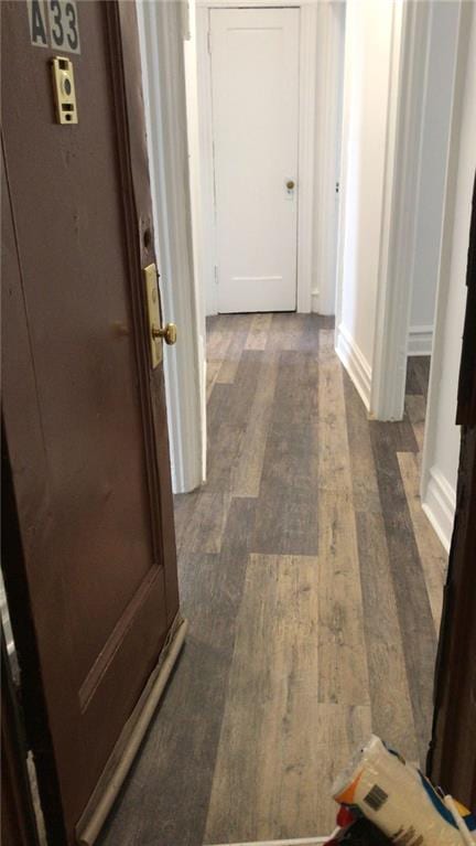 hallway featuring dark hardwood / wood-style flooring