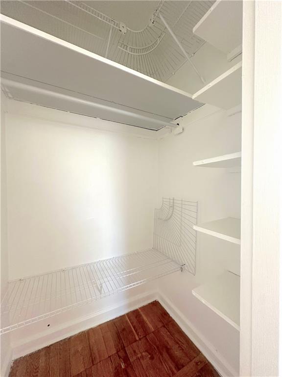 spacious closet featuring dark wood-style floors
