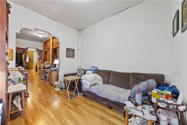 living room featuring wood-type flooring