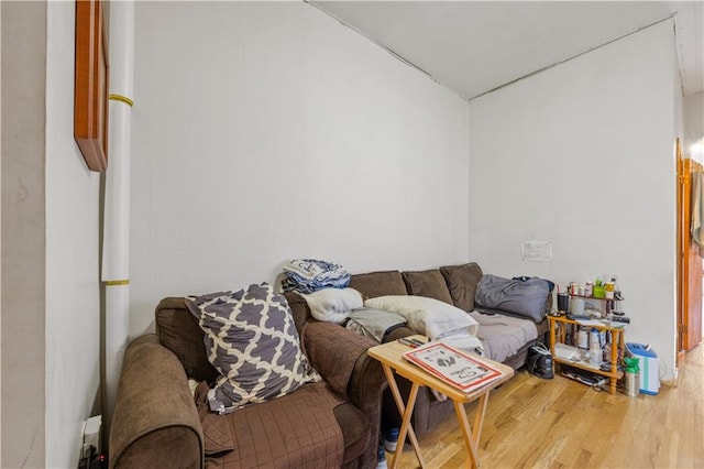 living room with hardwood / wood-style floors