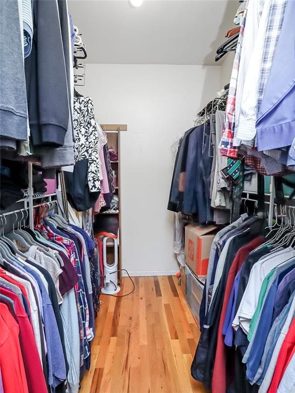 spacious closet featuring wood-type flooring