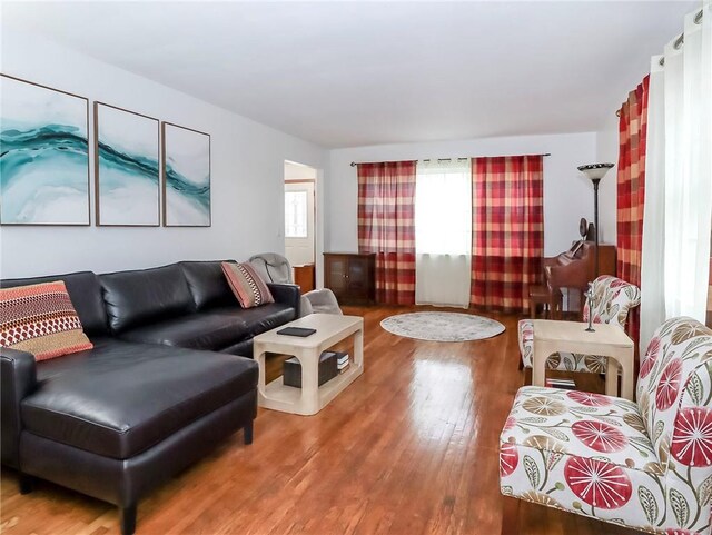 living room with wood-type flooring