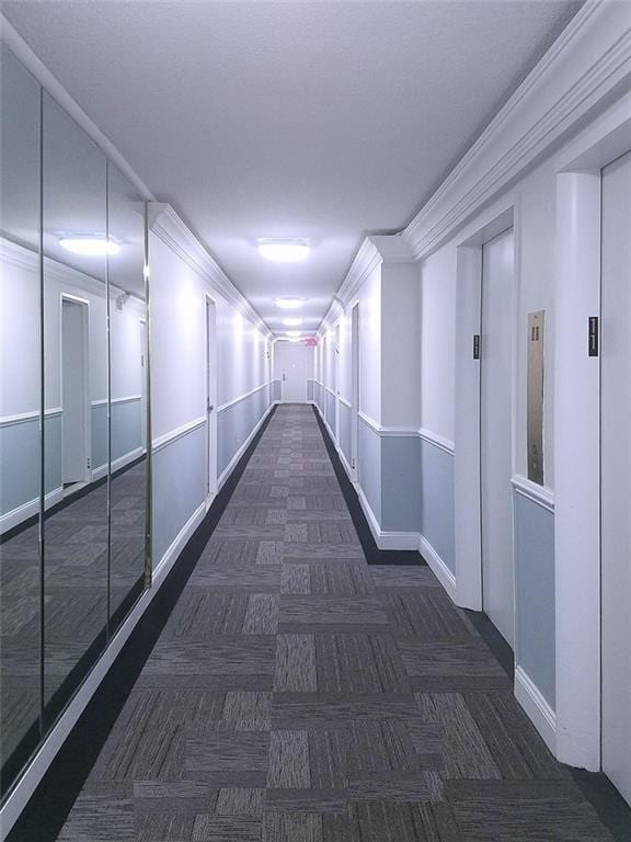 hall with ornamental molding and dark colored carpet