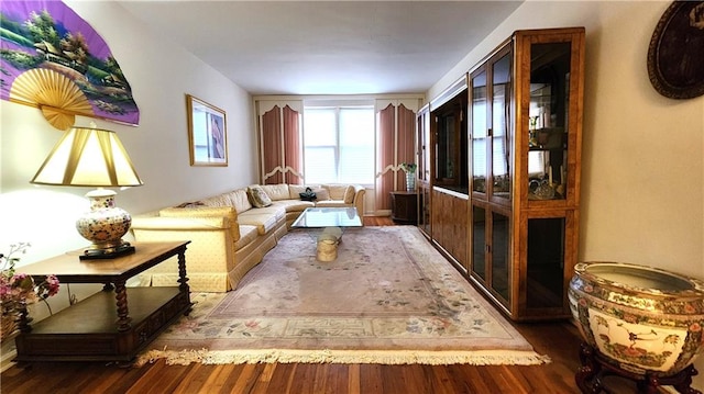 living room with dark hardwood / wood-style flooring