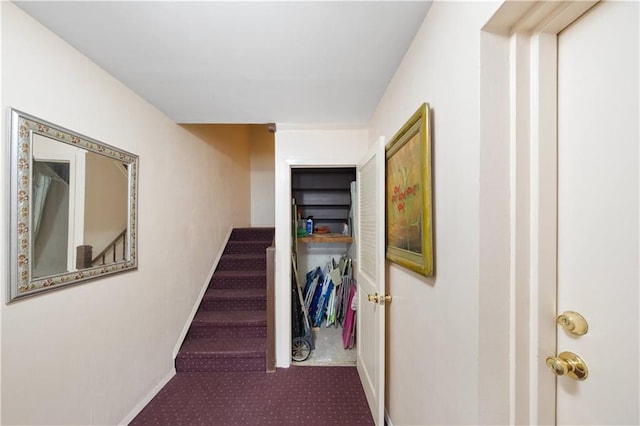 hall with carpet, baseboards, and stairs