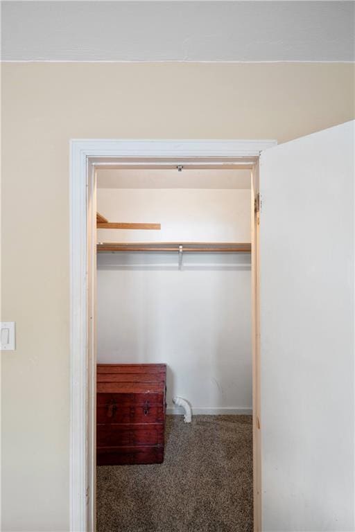 spacious closet with carpet flooring