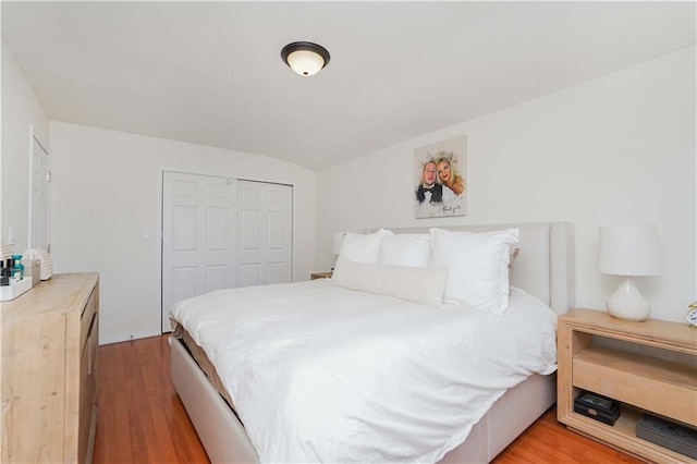 bedroom with wood-type flooring and a closet