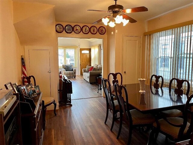 dining room with hardwood / wood-style flooring, ceiling fan, and plenty of natural light