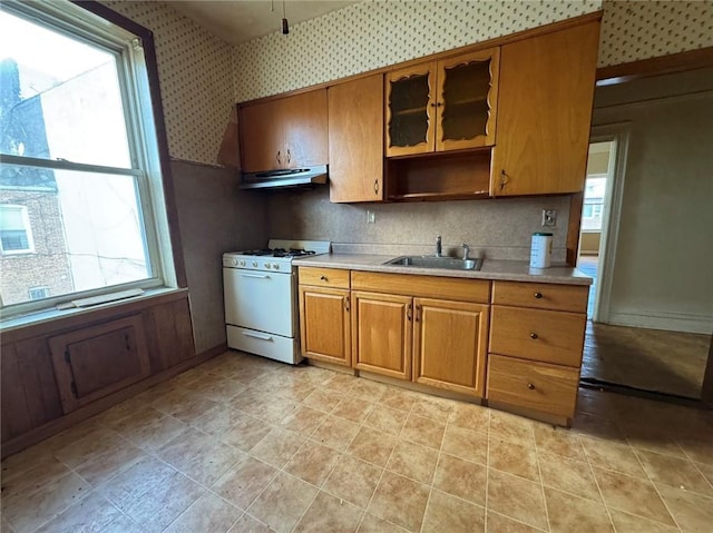 kitchen with white range with gas cooktop and sink