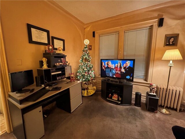 carpeted office space with radiator