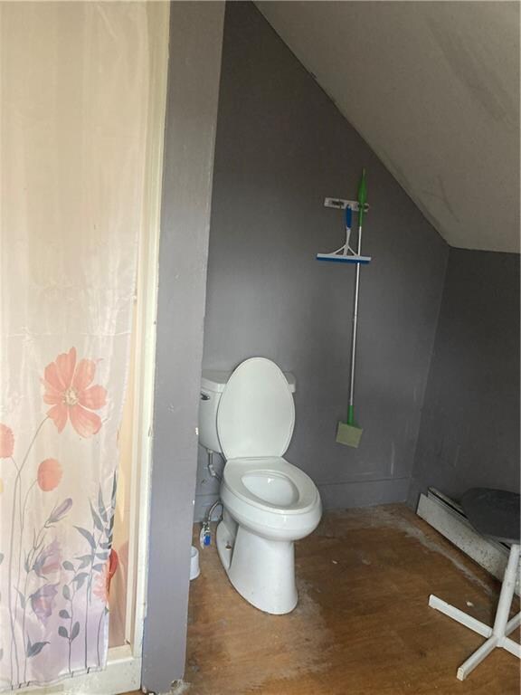 bathroom with toilet and vaulted ceiling