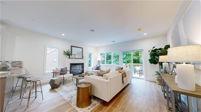 living room featuring light hardwood / wood-style flooring