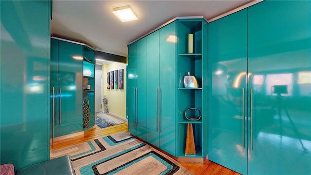 bathroom featuring wood-type flooring