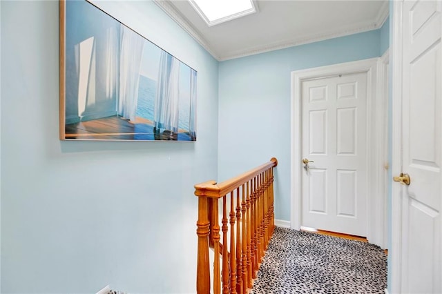 hallway with crown molding