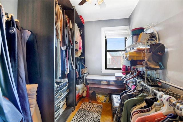 spacious closet featuring ceiling fan and wood-type flooring