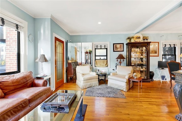 living room with light hardwood / wood-style floors and crown molding