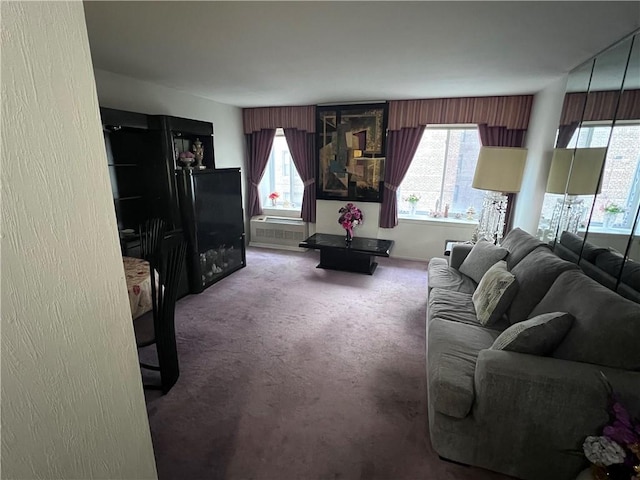 living room with carpet floors