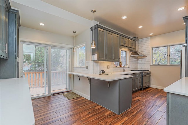 33 Wellington Ct, Brooklyn, NY 11230 - kitchen with high end range, dark wood finished floors, tasteful backsplash, light countertops, and a sink