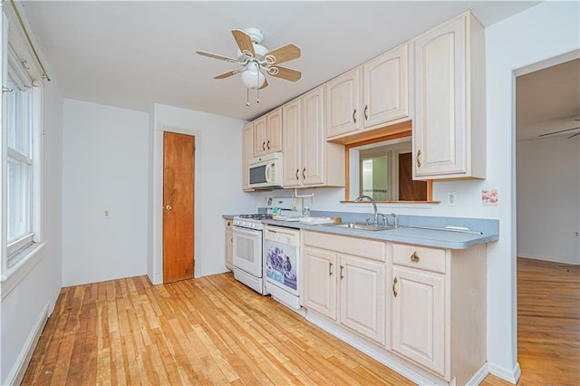 kitchen featuring light wood finished floors, a sink, ceiling fan, white appliances, and light countertops