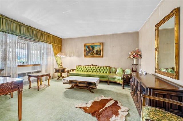 living room with carpet floors, radiator, and ornamental molding