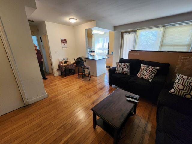 living room with light wood-type flooring