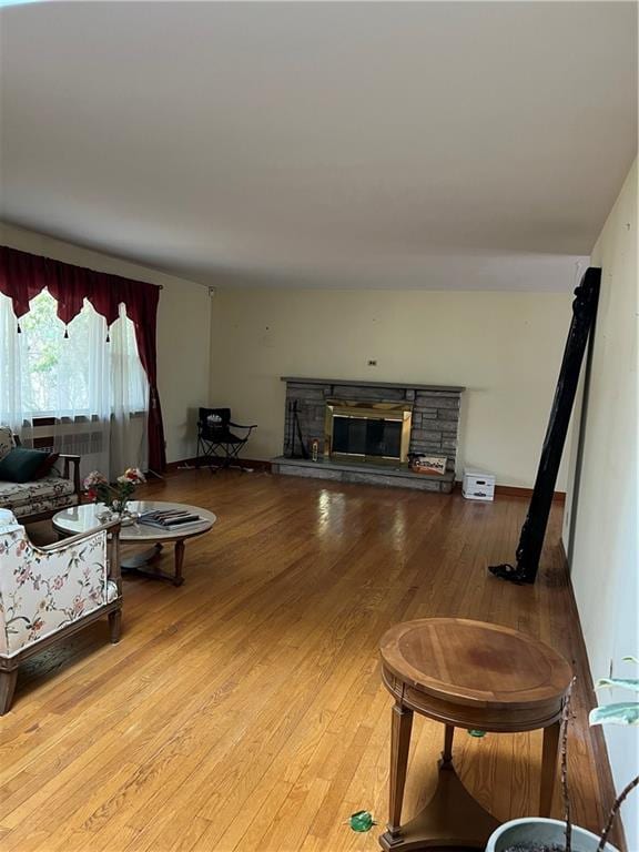 living room with wood-type flooring and a fireplace