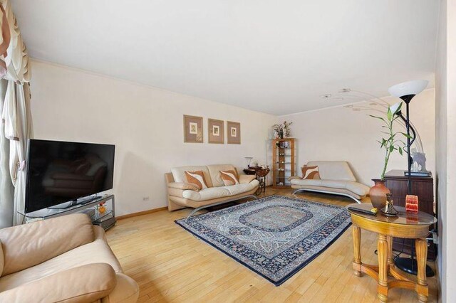 living room with light hardwood / wood-style floors