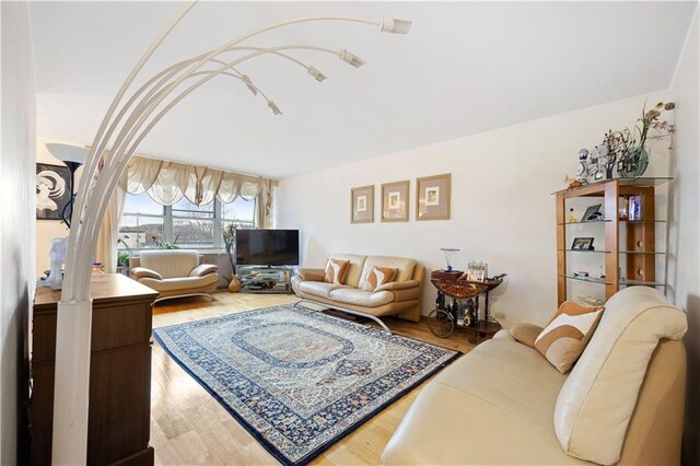 living room with wood-type flooring