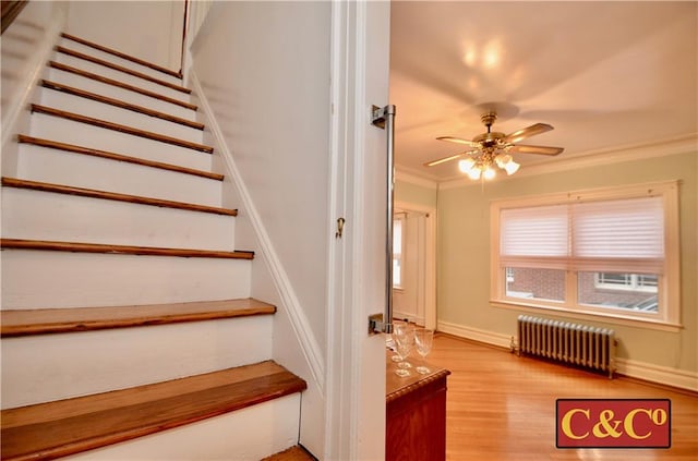 stairs featuring hardwood / wood-style flooring, ceiling fan, radiator heating unit, and crown molding